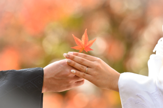 12月に入り・・・