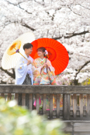 “桜・ロケーション”と“4月お急ぎプラン詳細”