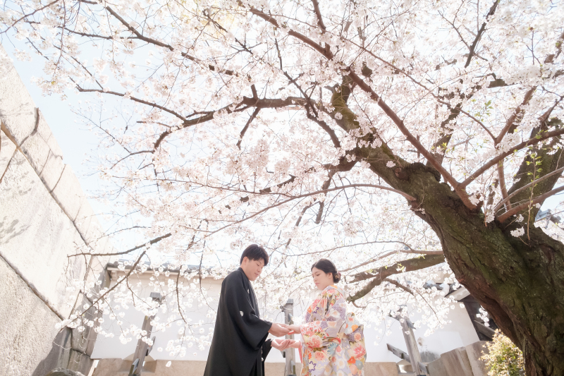 大阪城公園の桜