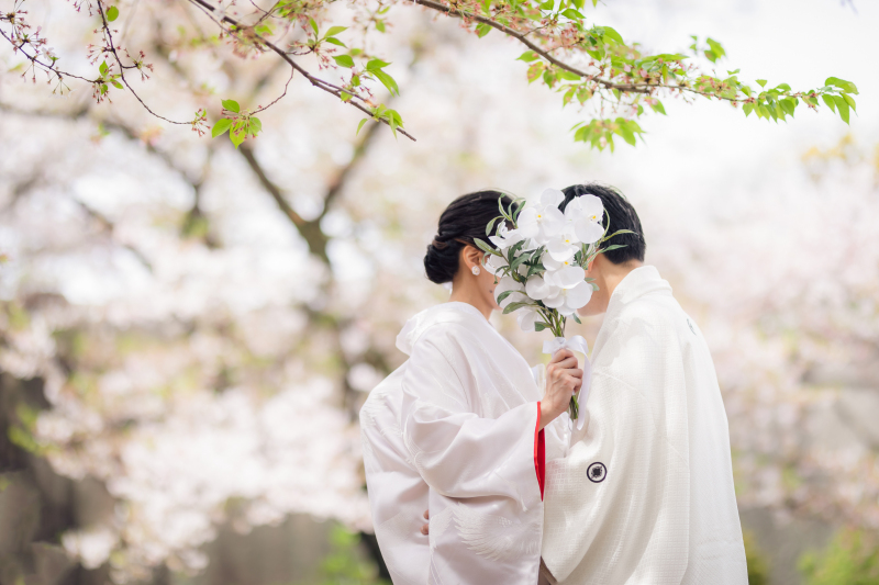 桜 × 白無垢 = awesome！