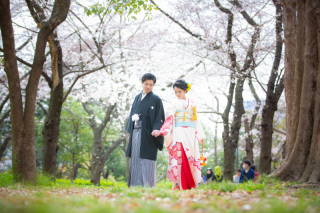 桜シーズンの大阪城公園をお見逃しなく
