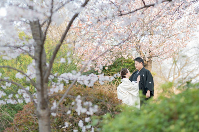 本日はひなまつり！