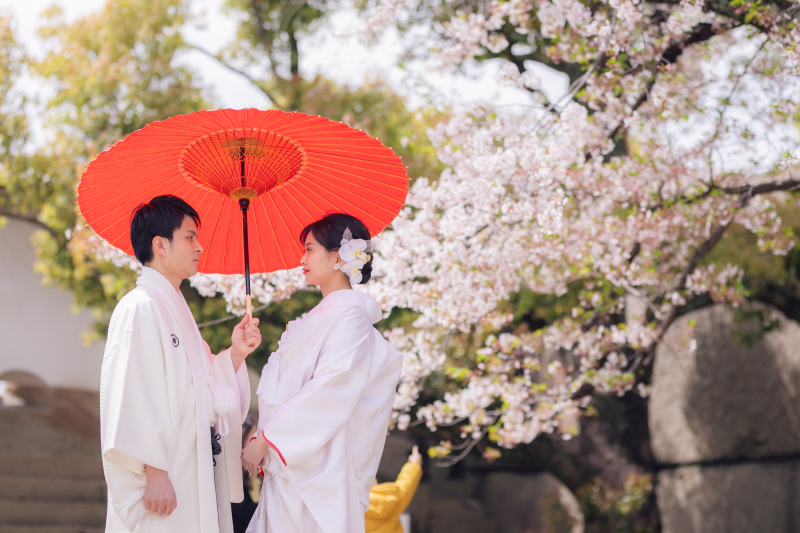 桜フォトご検討中の方はお急ぎくださいませ