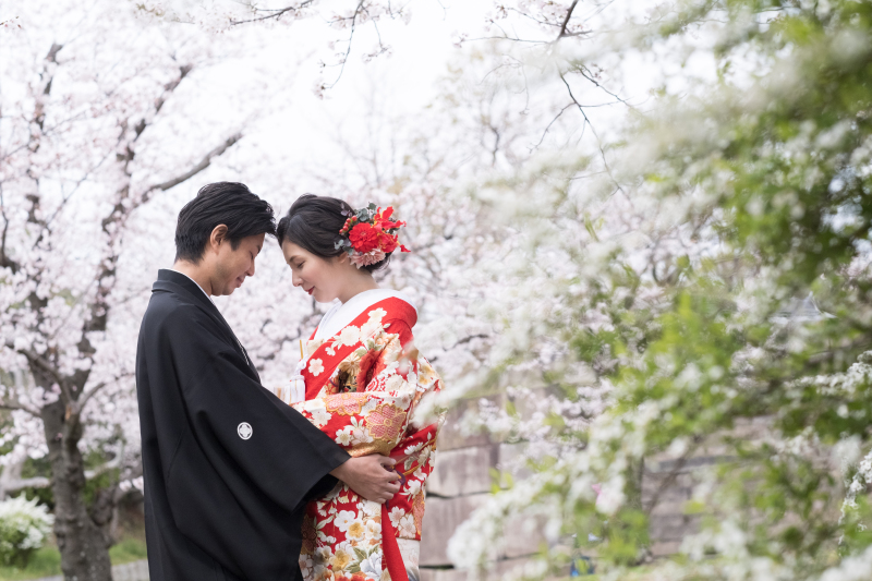 いよいよ始まる桜フォト