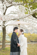 来年の夏挙式に使える!桜満開フォト集