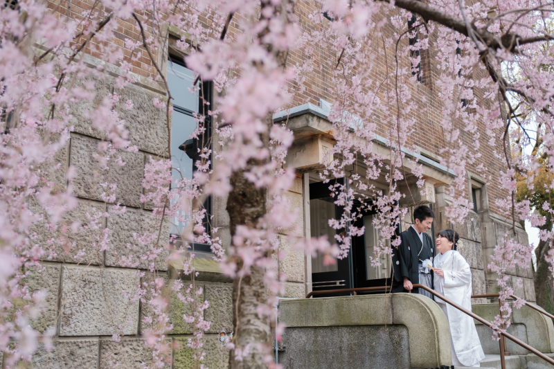 春を感じる桜フォトウェディング