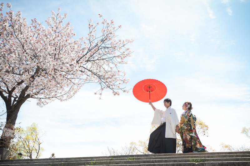 桜フォトを楽しむための特典満載！～予約をするなら今がチャンス～