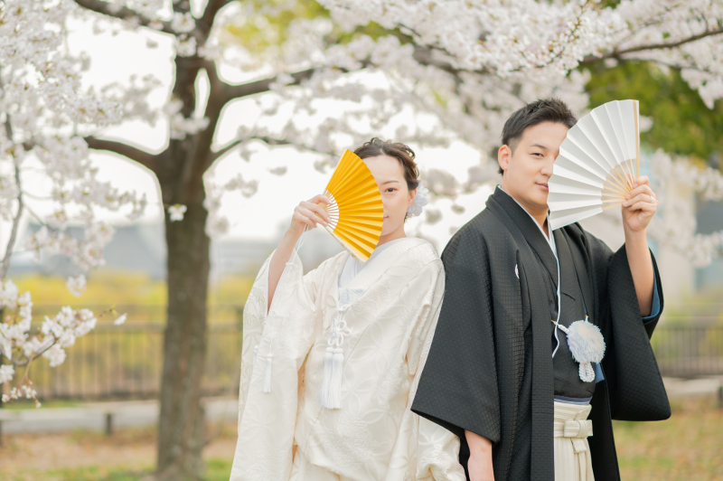 桜 × 白無垢 = awesome！