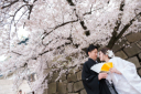 春を感じる桜フォトウェディング