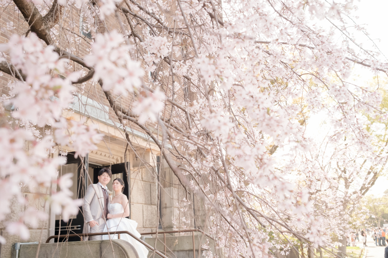桜とドレス