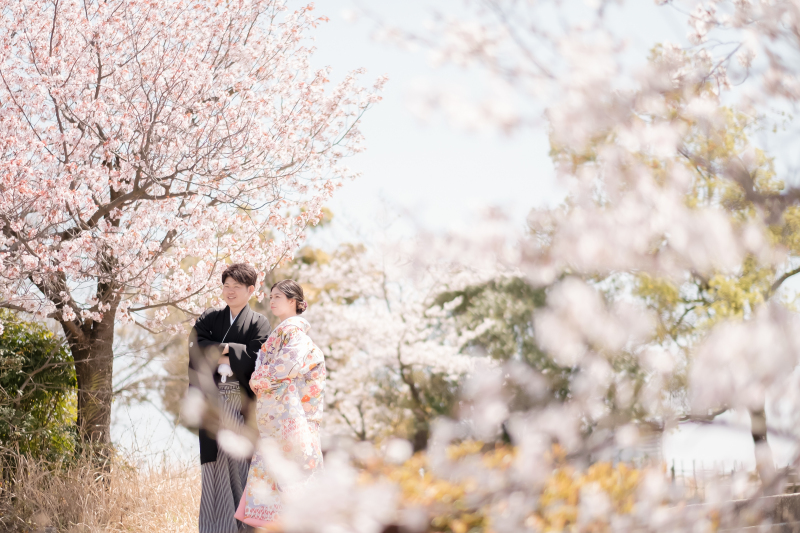 大阪城公園の桜