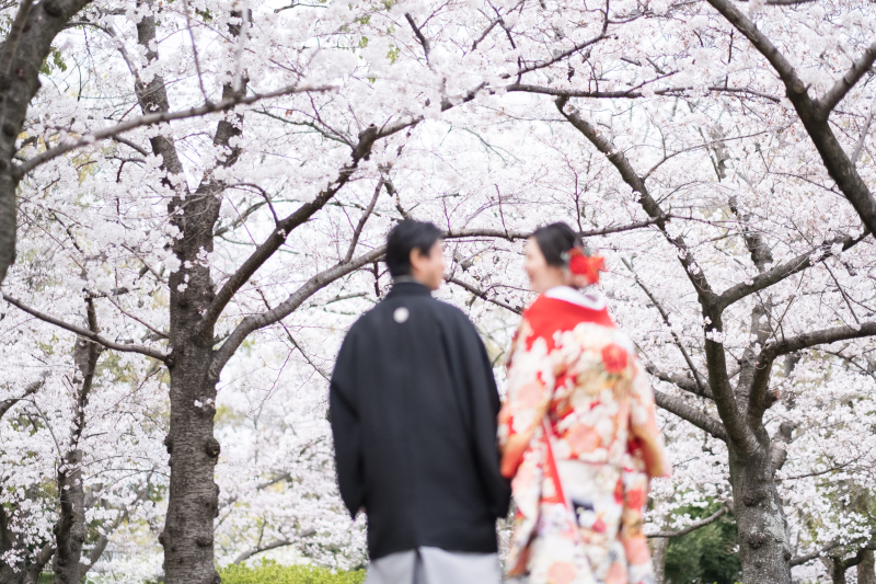 桜とおふたりのカラー