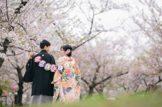 桜の中のフォトウェディングを逃さないで!