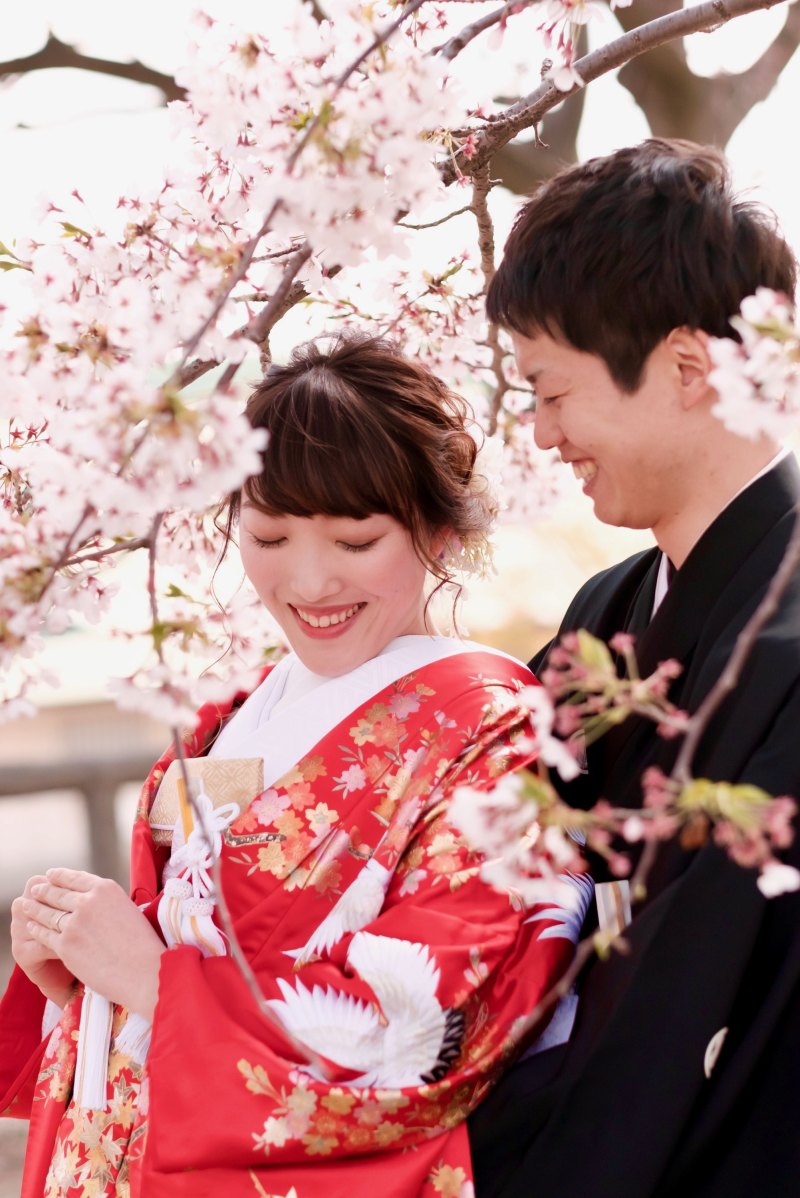 桜フォトを楽しむための特典満載!~予約をするなら今がチャンス~