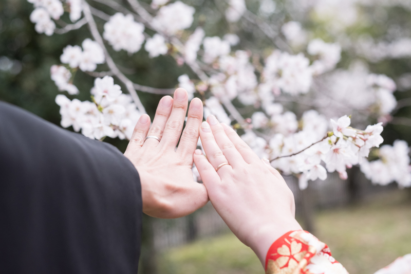 いよいよ、桜シーズン