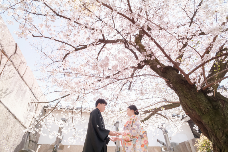 桜とおふたりのカラー
