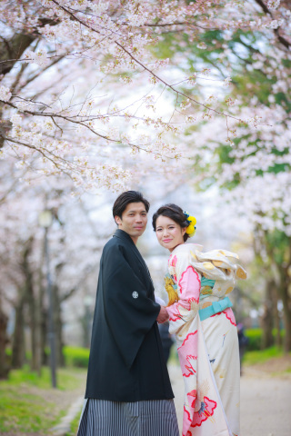 桜シーズンのお問合せが増えてきています