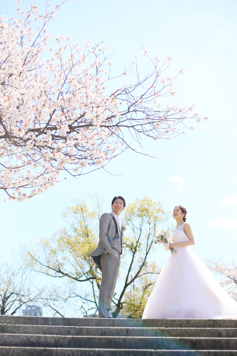桜のフレームで艶やかに