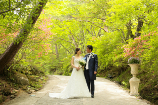 春のフォトウエディングプラン♪