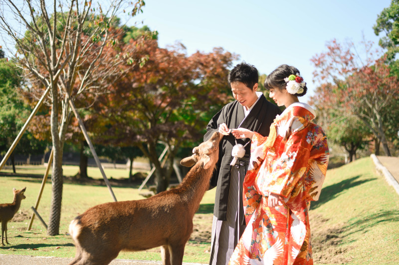 紅葉×色打掛　鮮やかな色使い♡