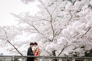 今大人気の和装とドレスの二着撮影♡