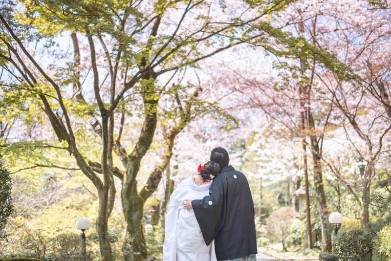 桜撮影の空き情報と人気プラン♡