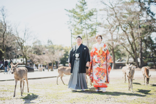 桜撮影のご予約☆平日に空きあります♡