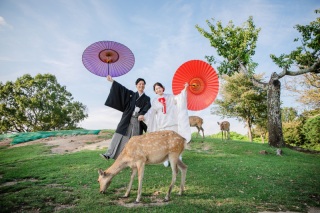 鹿と撮れる!チアフルウェディング