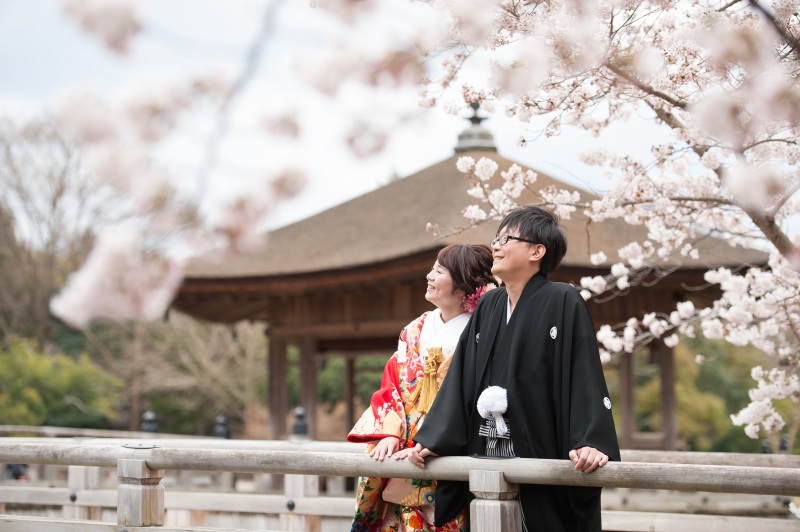 奈良 桜満開な予感。