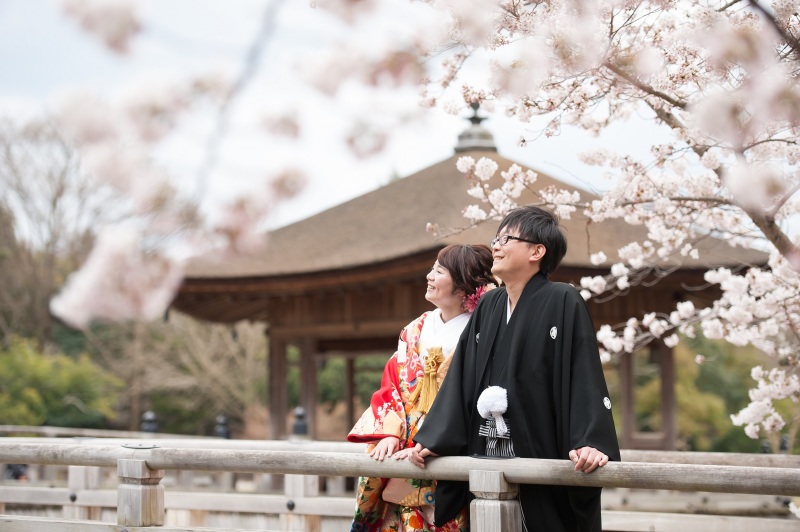 奈良　桜満開な予感。