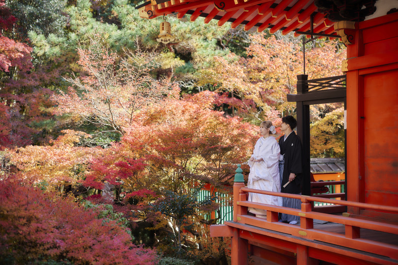 11月になりました！！