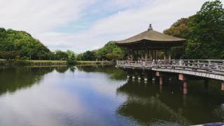 楽しく撮影しました(o^^o)