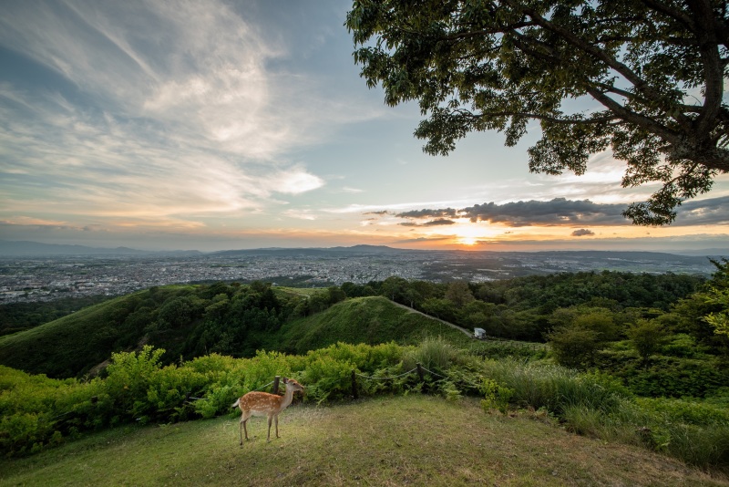 今の時期は夕陽撮影も綺麗に♪