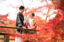 紅葉のシーズンの秋撮影のご予約が増えてきております！