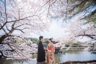 3.4月桜プランご予約開始しました!