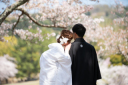 桜撮影まだ間に合います！！