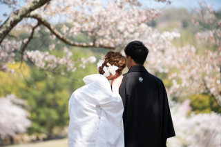 桜撮影まだ間に合います！！