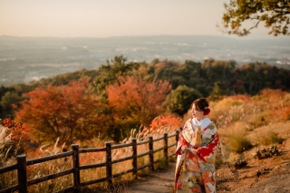 11月26日空き出ました!紅葉撮影するには今がチャンスです!!