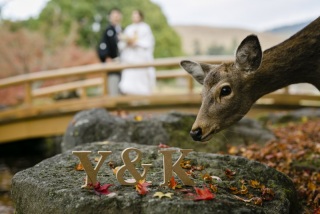 これを読むと前撮りがしたくなる♡今70％の夫婦がする前撮りの基礎知識！