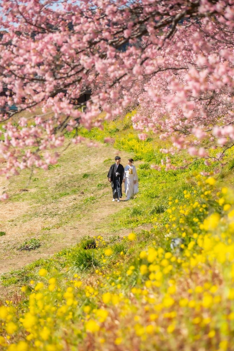 河津桜和装ロケーション♪