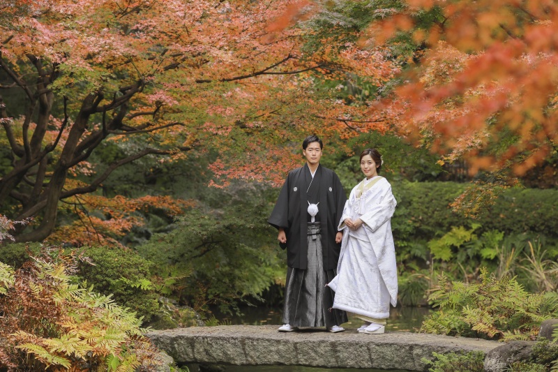 紅葉の撮影のご予約するなら今がチャンスです！