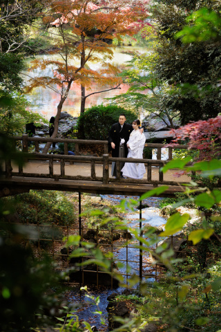 有栖川宮記念公園ダイナミックなお写真を