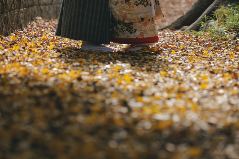 まもなくな紅葉撮影のご案内◎