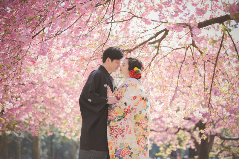 桜のご予約はじまってます♪