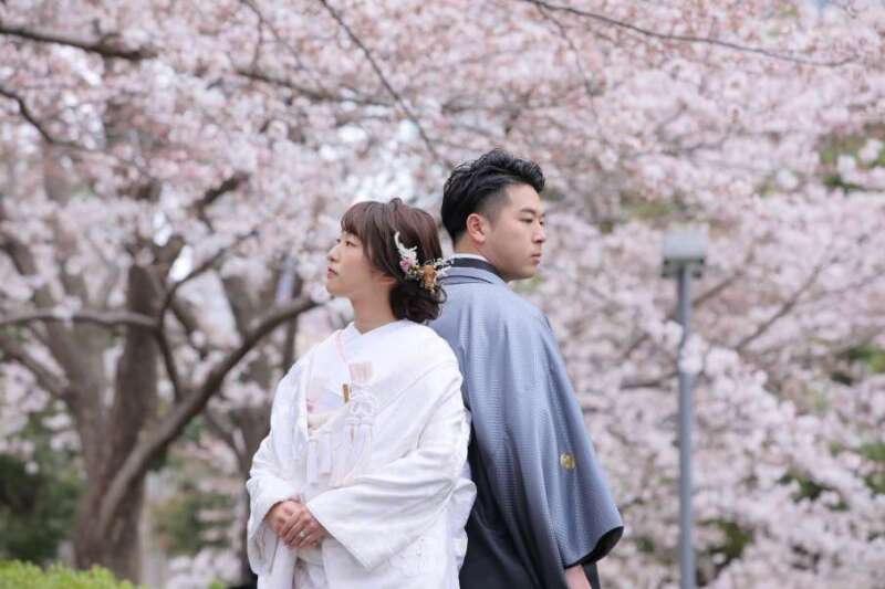 【大好評】今年の桜ロケーション撮影をご紹介in檜町公園♪