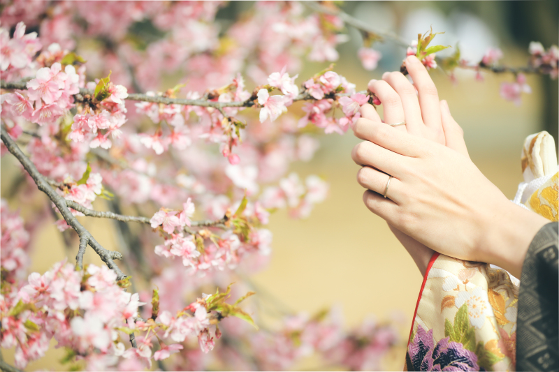 桜での撮影希望の方必見◎