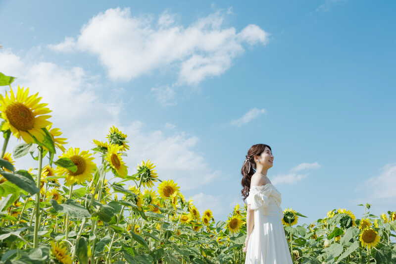 広々とした景色の中で