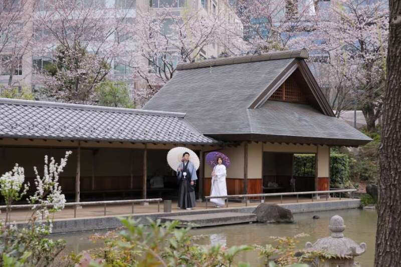 【大好評】今年の桜ロケーション撮影をご紹介in檜町公園♪