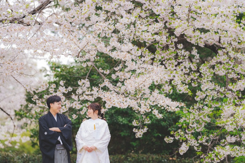 桜での撮影希望の方必見◎