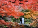 ！！！紅葉シーズン撮影枠残りわずか！！！
